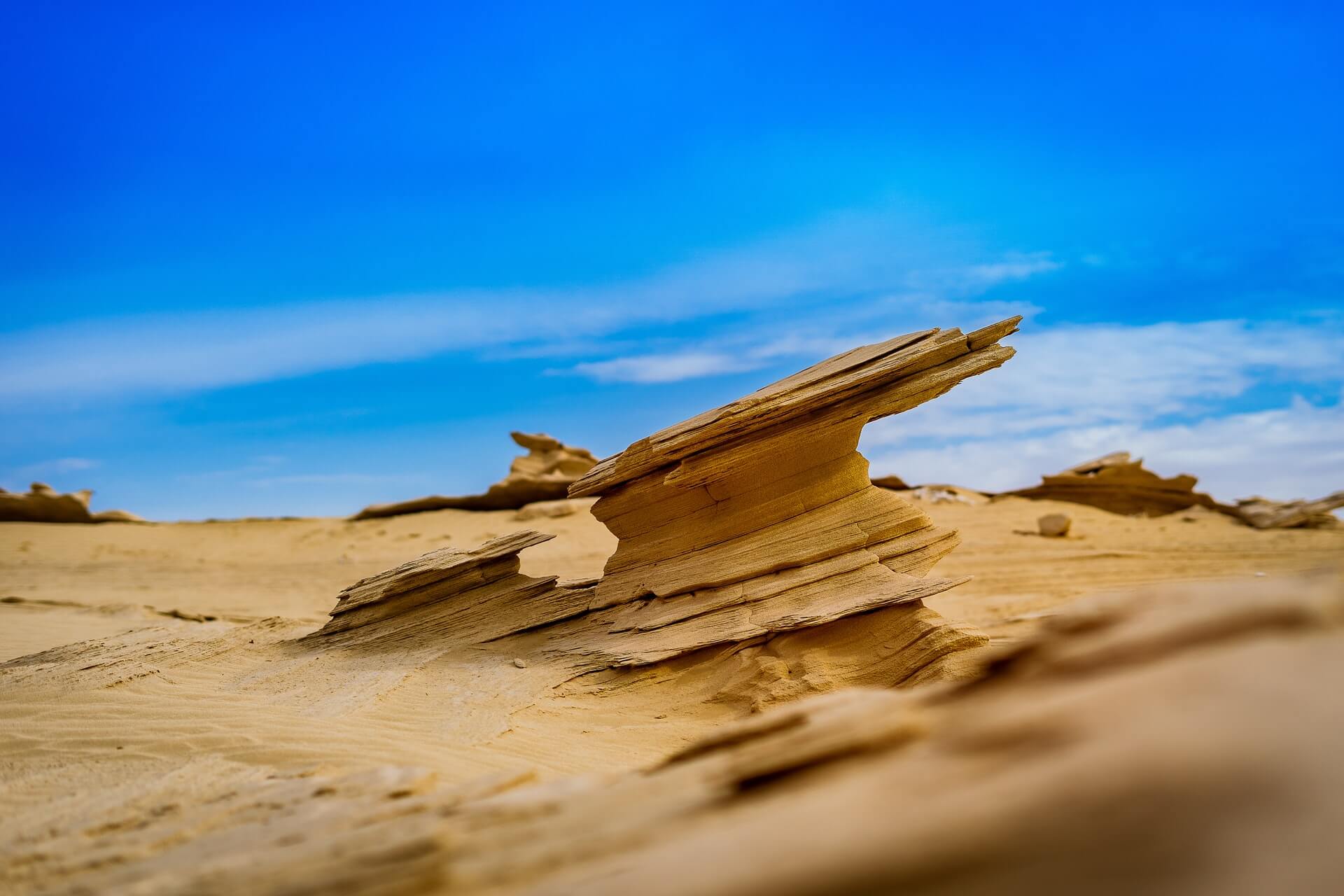 Book Al Wathba Fossil Dunes Tour Abu Dhabi