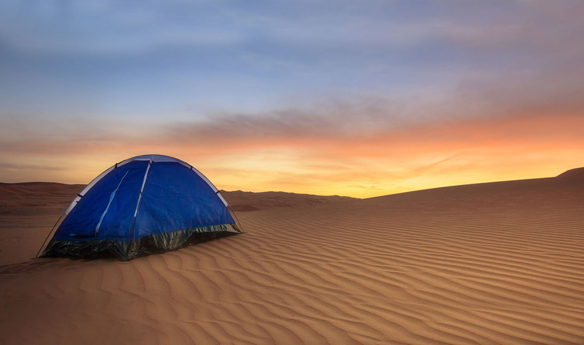Book Desert Camping Abu Dhabi 
