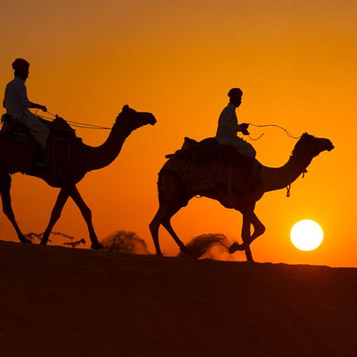 Desert Safari Abu Dhabi | Book Liwa Desert Safari