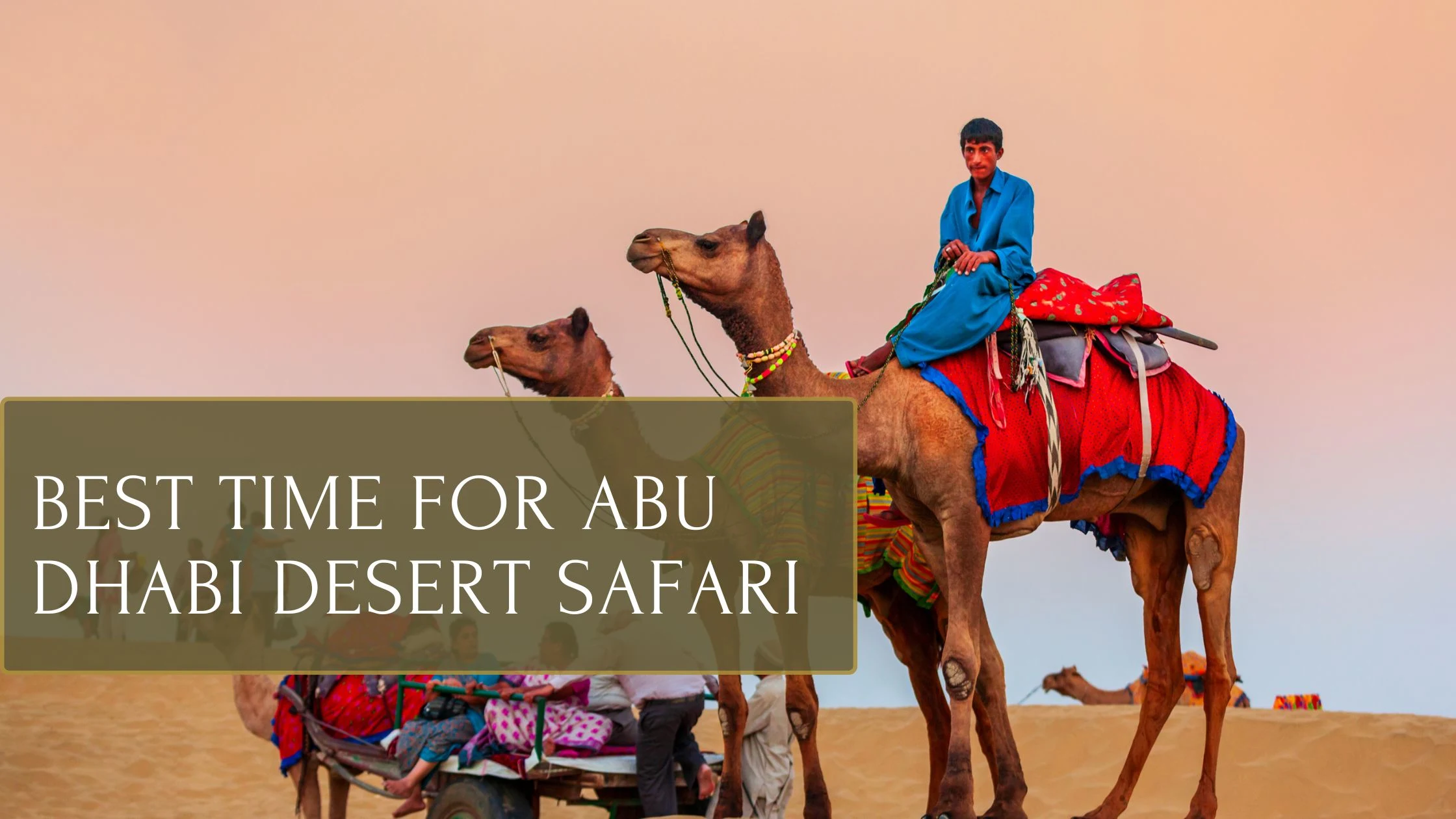image is about camel riding in desert safari abu dhabi