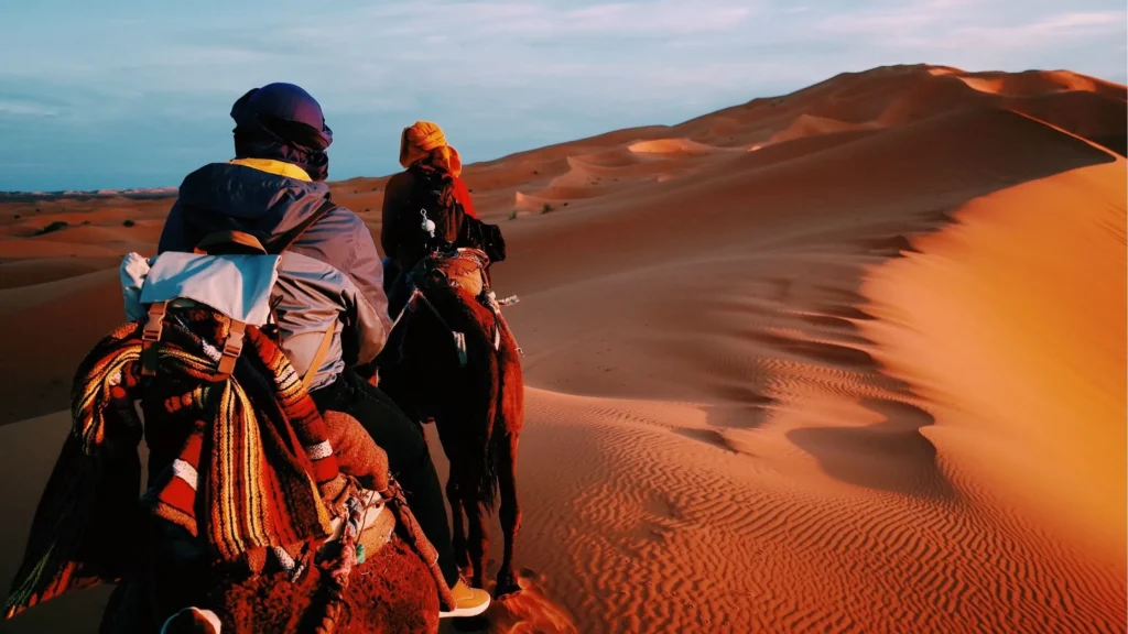 Tourists riding camels across golden sand dunes during an Abu Dhabi desert safari at sunset