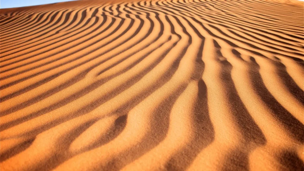 Golden sand dune patterns in Al Khatim Desert Abu Dhabi, a popular desert safari location.