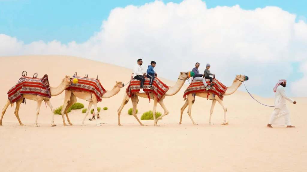 Traditional camel ride experience in Abu Dhabi desert safari.