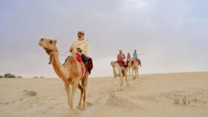 Tourists enjoying a camel ride during a desert safari in Abu Dhabi, exploring golden sand dunes under a cloudy sky.