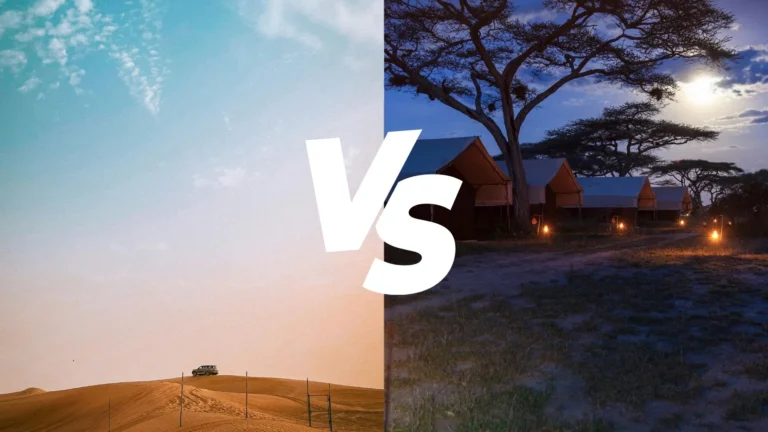 image is about morning desert safari vs evening desert safari