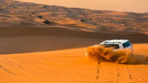 What is included in an Abu Dhabi desert safari?