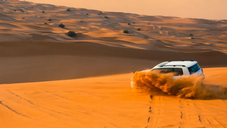What is included in an Abu Dhabi desert safari?