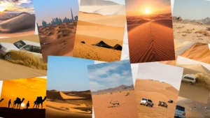 abu dhabi desert safari photography