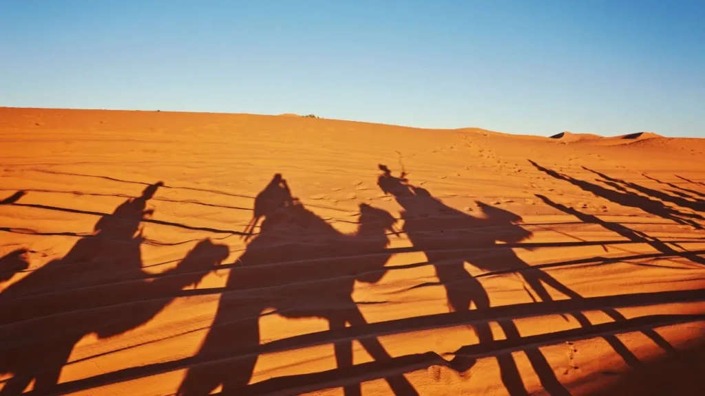Shadow of camels with tourists walking during Abu Dhabi desert safari in the evening