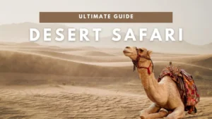 ultimate guide to desert safari