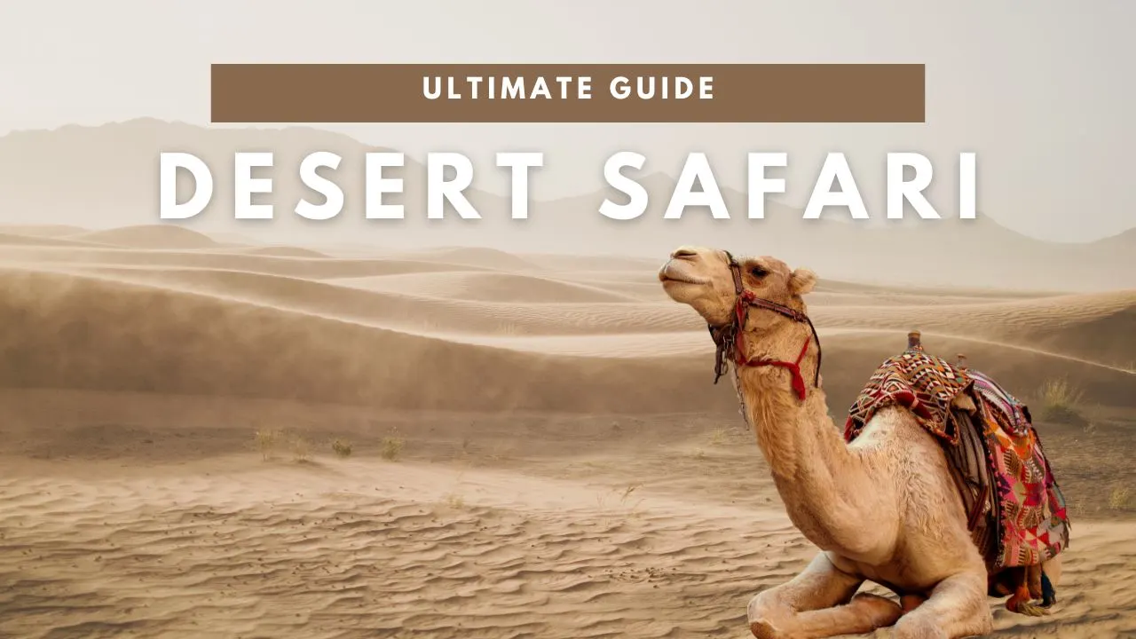 ultimate guide to desert safari